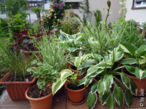 DSCN0922.JPG