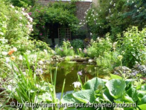 gartenblick 6.jpg