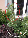 20140526_194713b.jpg