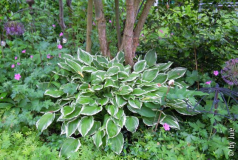 DSCN1030.JPG