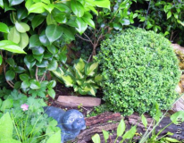 DSCN1028.JPG