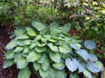 DSCN1043.JPG