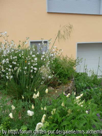2014-05-29 Stipa