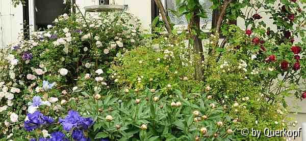 Blütenberg, Vorgarten