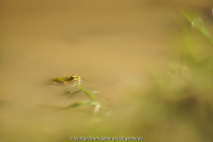 DSC001522.jpg