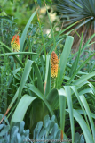 DSC095672.jpg