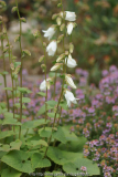 DSC095832.jpg