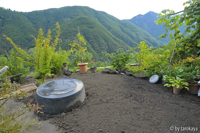 zukünftiger japangarten14