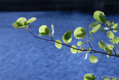 Finnland 11