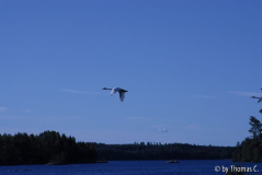 Finnland 18