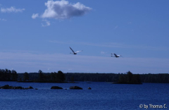 Finnland 19