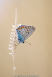 DSC016252.jpg