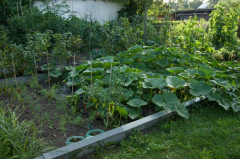 Sommergarten.jpg