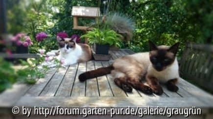 Die beiden!