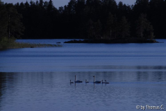 Finnland 38