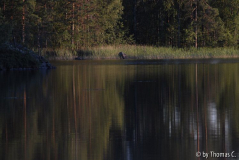 Finnland 39