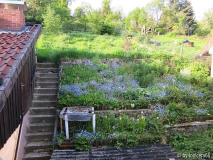 Blick über den Hof in den Garten vom 1.Stock