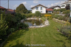 Mein Gartenteich