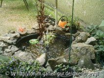 teich___800x600_400x300.JPG