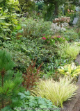 Rhodobeet_14-4.jpg