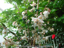DSC02819~0.jpg