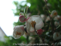 DSC02808~0.jpg