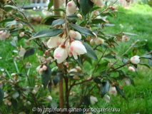DSC02779~0.jpg