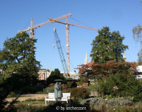 Paar in Betrachtung der Kräne