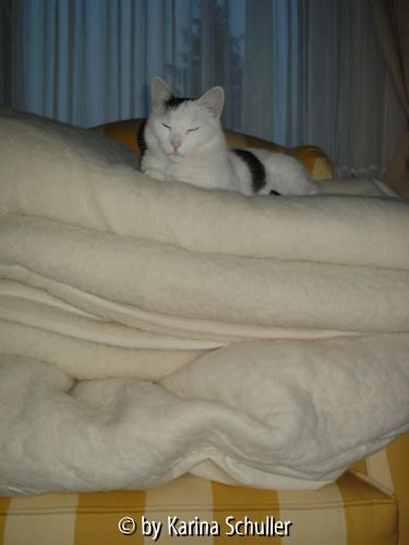 Prinzessin auf der Erbse