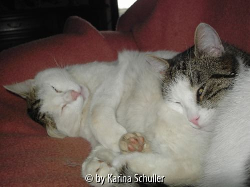 unsere Burschen