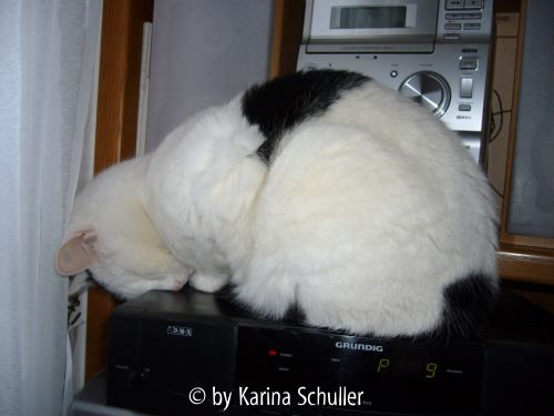 Na sicher kann man auch so schlafen!!!