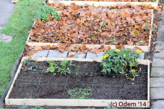 Quadrat-Gärtnern, Erstsaat und Laubabdeckung