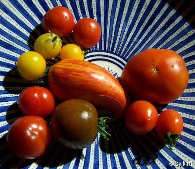 Tomatenteller
