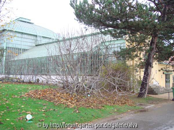 Feigenbaum1