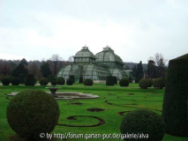 Großes Palmenhaus in Schönbrunn
