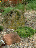 Moosfelsen_Oktober2014