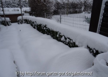 Winter 4.jpg