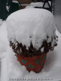 Winter 3.jpg