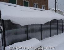 Winter 2.jpg