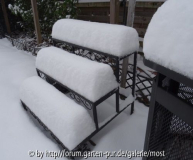 Winter 1.jpg