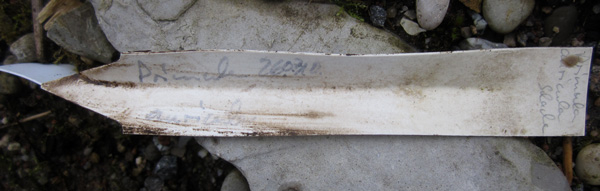 Etikett nach 4 Jahren und mehrmaligem Umpflanzen