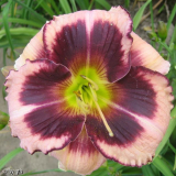 Tiefer See_11513a.jpg