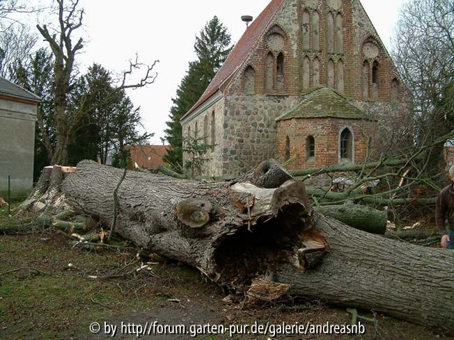 KirchLinde - Faulstelle