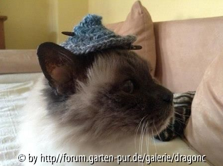 Cedric 21-01-2015