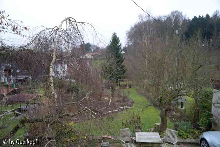 Gartenübersicht Winter