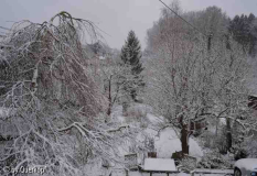 Gartenuebersicht mit Schnee