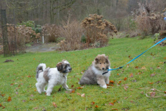 Dana und Emmi