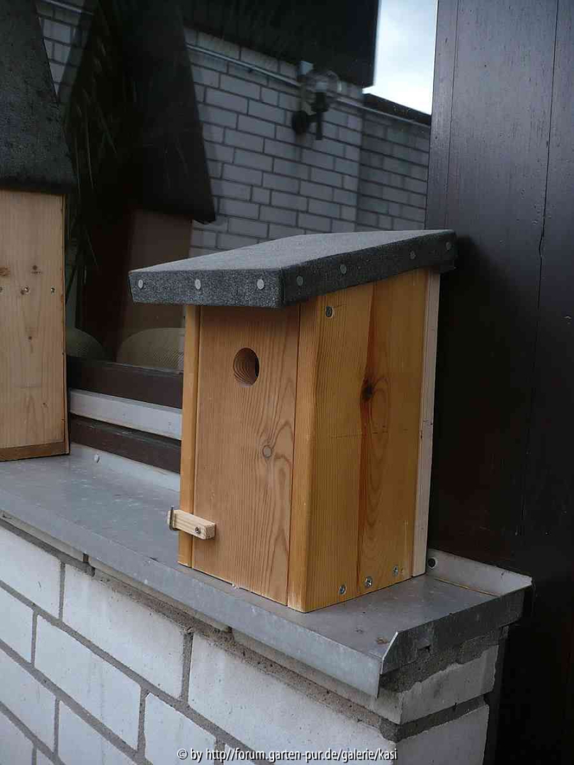 Nistkasten 1 (für Meisen)