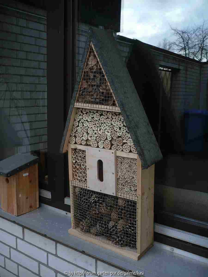 Insektenhotel 2