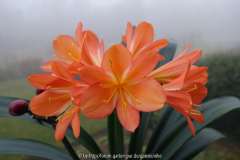Säml_ Südafrika 5_3_2014-2.jpg